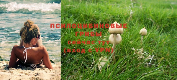 дмт Богородск