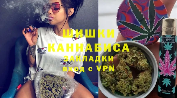 дурь Богородицк