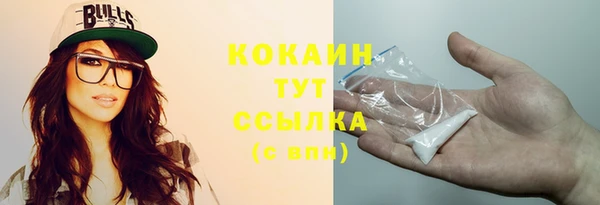 дурь Богородицк