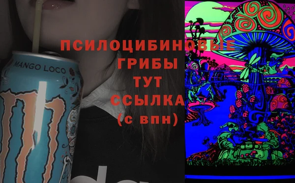 мдма Белокуриха