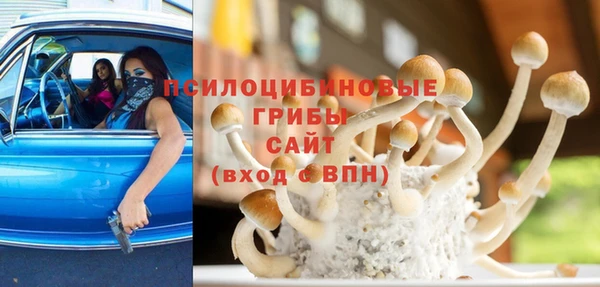 дмт Богородск