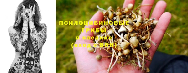 дурь Богородицк