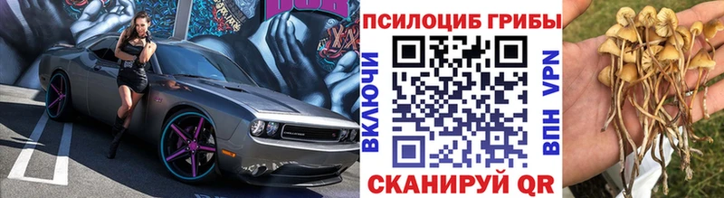 дарнет шоп  Вельск  MEGA маркетплейс  Галлюциногенные грибы MAGIC MUSHROOMS 